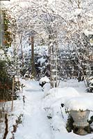 View of path to pergola with Rosa 'Raubritter' and Rosa 'Constance Spry' in winter - Welsch Garden, Berlin, Germany
