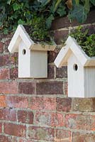 Twin bird houses with green living roofs consisting of Sedum matting