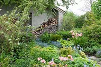 Log pile next to Spring garden with Azalea 'Delicatissima' and Veronica gentianoides in foreground, Myosotis and Hosta behind - Westbrook House, Somerset