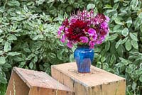 Pink summer posie made with Lathyrus latifolius, Lathyrus odoratus, Verbena hastata, Dahlia and Scabiosa