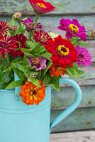 Floral arrangement of Zinnia elegans 'Purple Prince', Zinnia elegans 'Envy' and Zinnia elegans 'Fireball Blend' in blue watering can