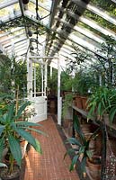 Traditional glasshouse - greenhouse housing tender plants