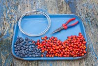 Materials required for constructing a berry bird feeder. Blueberries, Rose hips, pliers and medium thickness wire