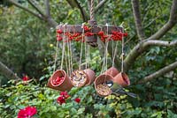 A weathered Wheel bird feeder featuring hanging terracotta pots offering a variety of berries and seeds for the birds, decorated with Pyracantha berries