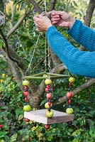Securely fix the Berry House bird feeder in position using string