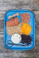 Ingredients required to make a Fat Bird Feeder. Lard or Fat, Raisins, Bird seed, Cheese, Peanuts, Terracotta pots, String and Scissors