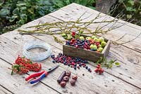 Ingredients required for making Berry Strings. Lichen covered branches, Wild Crab Apples, Sloe berries, Rose hips, Horse Chestnuts, Pyracantha and Wire