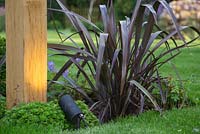 Lighting feature at the base of the first wooden arch, accompanied with Saxifraga and Phormium 'Bronze Baby'