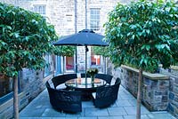 Contemporary outdoor space featuring seating area and sunbrella flanked by Portuguese laurel