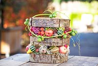 Autumn decoration - trunk disks with small apples, sedum, poppyseeds and small calabash.