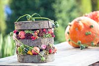Autumn decoration - trunk disks with small apples, sedum, poppyseeds and small calabash and orange pumpkins in the background.