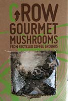 Mushrooms - Growing Gourmet Mushrooms from a pre-bought kit 