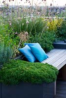 Roof garden - a place to sit - decked seating area with blue cushions and herbs - sage, camomile, verbena bonariensis, alliums. Designer: Charlotte Rowe, London
