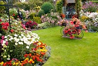 Colourful back garden with mixed borders filled with tender bedding plants, shrubs and perennials. Summerhouse and lawn. Manvers Street, Derbyshire NGS, August