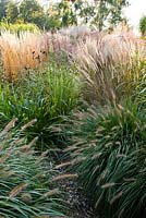 Path through grass borders in October: Miscanthus sinensis, Pennisetum viridescens,  Pennisetum alopecuroides Hameln, Molinia, Calamagrostis x acutiflora 'Karl Foerster'. Buitenhof garden