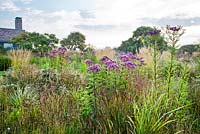 Piet Oudolf garden Hummelo. Calamagrostis acutiflora 'Karl Foerster', Achillea, Eupatorium maculatum Riesenschirm, Panicum virgatum Shenandoah.