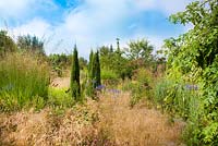 Summer borders. Juniperus communis 'Arnold', Deschampsia cespitosa 'Goldschleier', Molinia, Panicum virgatum 'Heavy metal', Echinacea purpurea, Molinia 'Windspiel'.