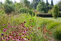 Summer borders. Gaillardia grandiflora 'Burgundy', Echinacea purpurea, Echinacea purpurea Alba, Pennisetum alopecuroides 'Hameln'. Shell path.