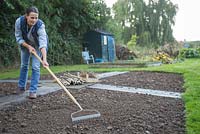 A woman raking the soil in allotment beds in preparation for sowing seeds and bulbs