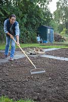 A woman raking the soil in allotment beds in preparation for sowing seeds and bulbs