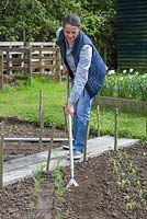 Woman hoeing the allotment beds to break up the surface and destroy weeds