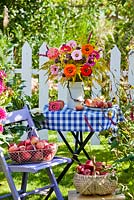 Floral and harvest display of Zinnias, Solidago canadensis, Echinacea purpurea, Persicaria amplexicaulis 'Firetail' and Verbena bonariensis in enamel milk can.