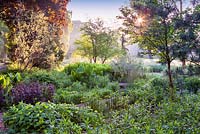 Adrian's Wood, North American native garden at The Bressingham Gardens, Norfolk, UK. June, Summer.