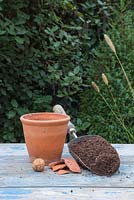 Ingredients required for planting an English Walnut - Juglans regia