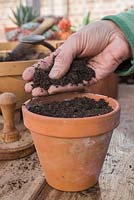 Adding layer of compost to freshly sown Tomato 'Garden Candy' seeds