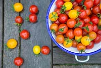 Tomato 'Garden Candy' in enamel bowl on wooden surface