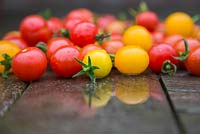 Tomato 'Garden Candy' on wooden surface