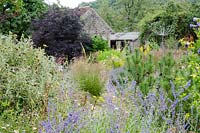 Garden looking South, with Perovskia 'Blue Spire', Phlomis and Pinus nigra - Corsican Pine.  Stainless steel Seedhead by Ian Marlow ARBS - The Walled Garden at Mells, Somerset