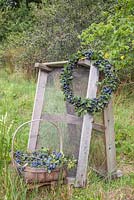 An autumnal Sloe berry - Prunus spinosa wreath hanging on wooden pallets
