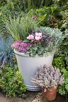An autumnal container with a pink and silver colour theme planted with Sedum cauticolum, Fascicularia bicolor, Thymus vulgaris 'Silver Posie', Salvia officinalis 'Purpurascens', Euphorbia characias 'Glacier Blue' and Cyclamen
