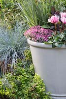 An autumnal container with a pink and silver colour theme planted with Sedum cauticolum, Fascicularia bicolor, Thymus vulgaris 'Silver Posie', Salvia officinalis 'Purpurascens', Euphorbia characias 'Glacier Blue' and Cyclamen