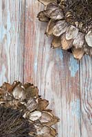 Artichoke seed heads against blue wooden surface