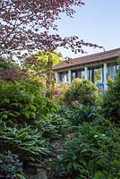 Bark path edged by Hosta 'Undulata Albomarginata',shrubs and Fagus sylvatica 'Purpurea Tricolor' leading through house - May, Scalabrin Laube Garten, Switzerland