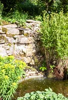 Small pond and fountain planted with Osmunda regalis, Euphorbia pallustris and Alchemilla mollis - May, Scalabrin Laube Garten, Switzerland