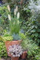 An Autumnal pot featuring Pennisetum alopecuroides 'Hameln', Festuca glauca, Thymus x citriodorus 'Archer's Gold' and Thymus vulgaris 'Silver Posie'