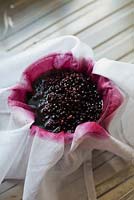 Cooked berries in muslin for straining. Making elderberry cordial 