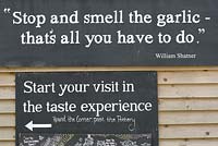 The Garlic Farm. Isle of Wight. 'Stop and smell the garlic, that's all you have to do'.