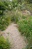 Gravel path with Hemerocallis and  Calamagrostis emodensis at the end