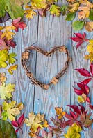 A colourful border of mixed Autumnal leaves with a woven wreath and spent Hydrangea flowers