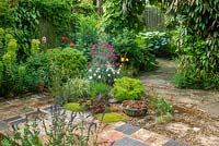 Plant enthusiast's garden. Paving using recycled materials, rock plants, herbaceous perennials, shrubs and climbers. NGS garden. Catworth, Cambridgeshire