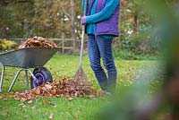 Woman leaning on rake with a pile of raked autumnal leaves