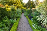 The Long Walk at Wollerton Old Hall Garden, Shropshire, which divides the formal and informal areas of the garden. Planting includes a variegated Cordyline and various Clematis which scramble up the brick wall. 