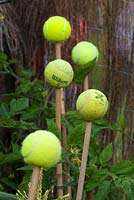 Recycled tennis balls used as protective cane toppers