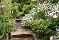 Mixed borders with Digitalis - Foxglove, Lunaria annua var. albiflora - Honesty, Geranium, Allium, Paeonia lactiflora 'Lady Alexandra Duff' - peony and grasses by stone paving path with steps in June 