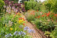 Veronicastrum virginicum 'Fascination', Agapanthus, Crocosmia 'Lucifer', Hemerocallis and Veronicastrum virginicum 'Fascination' and Cercis canadensis 'Forest Pansy' in  borders with decorative edging and backed by hedges, and central straight red brick path. August