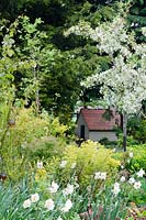 View to Clarice Cliff garden through border with Euphorbia, Cytisus and Narcissus 'Cheerfulness',  Crab Apple in blossom